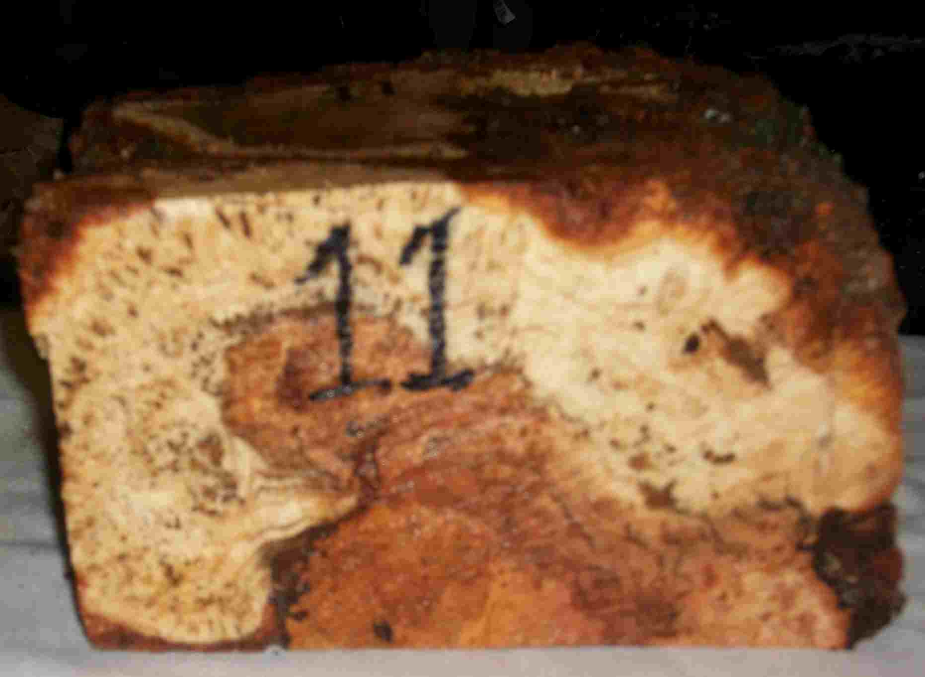 cherry burl