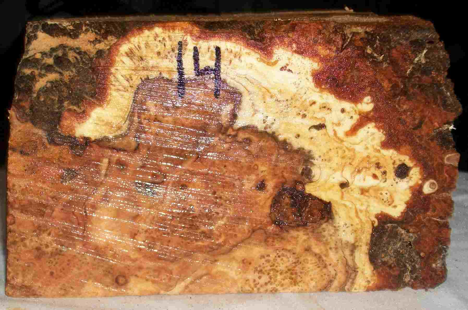 cherry burl