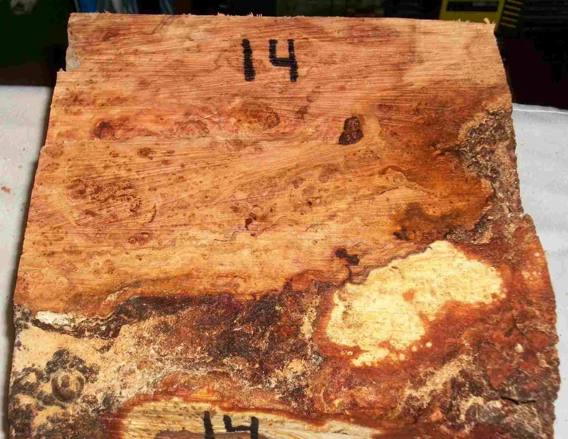 cherry burl