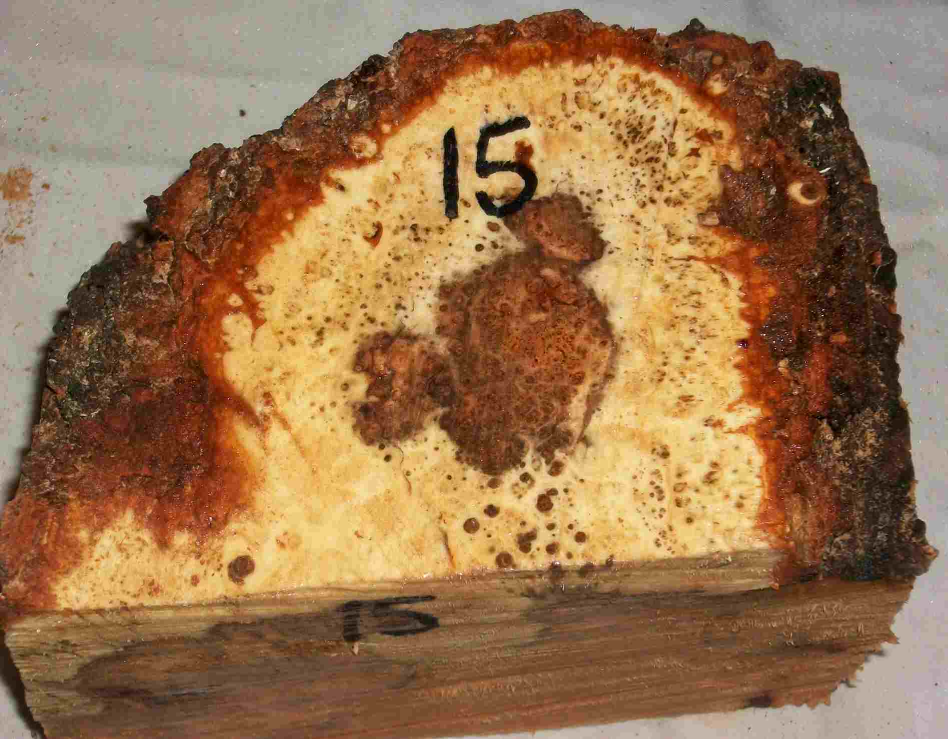 cherry burl