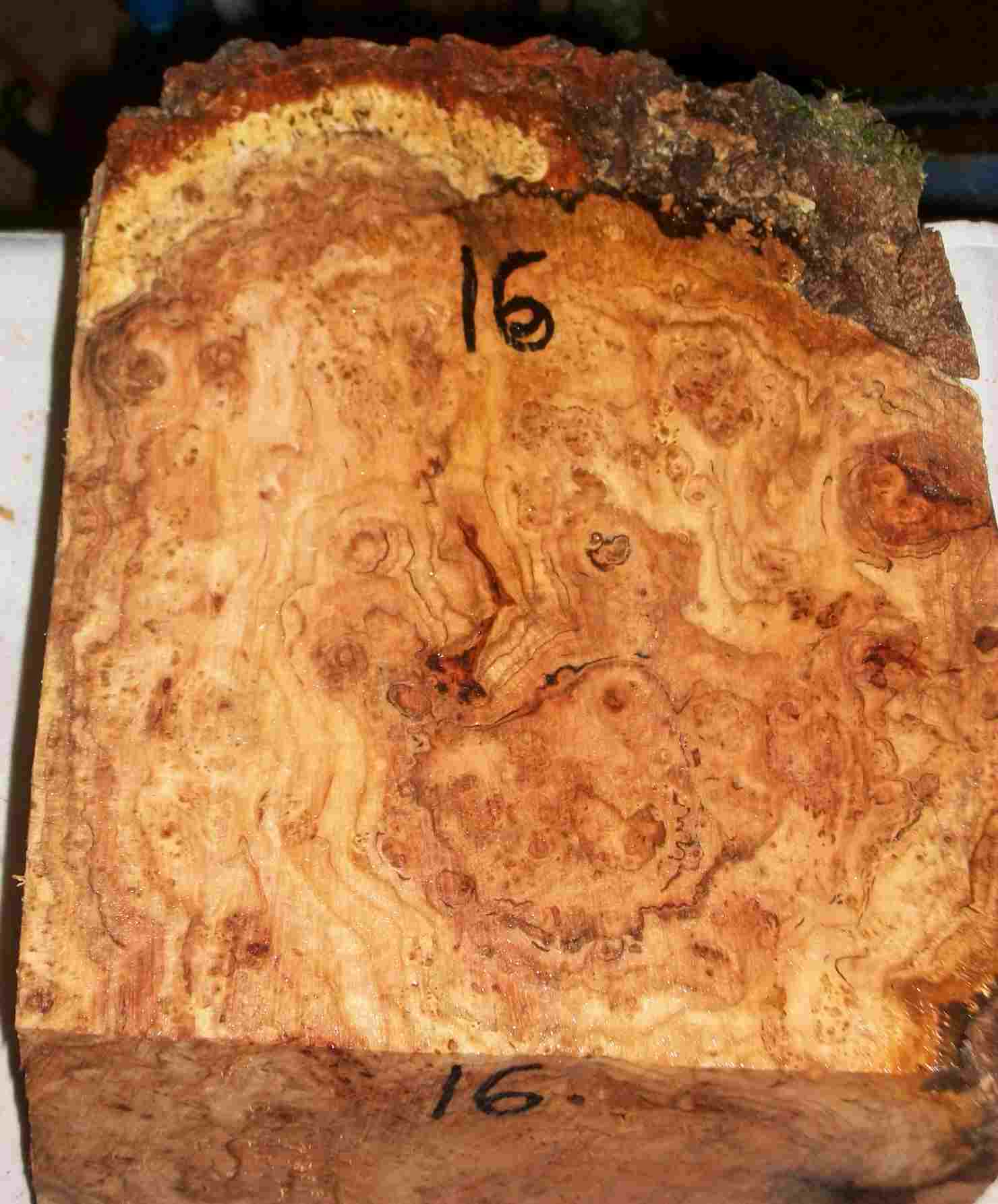 cherry burl