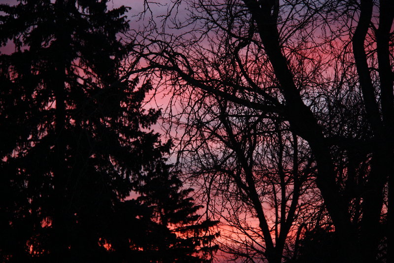 Colorado Morning 2