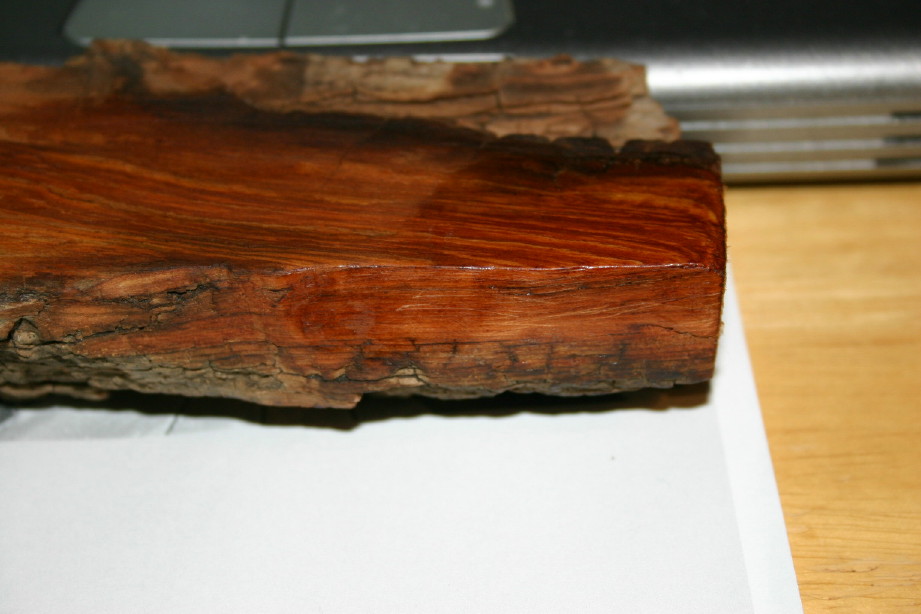 Cottonwood bark
