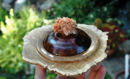 Creedite Final Natural Edge Bowl