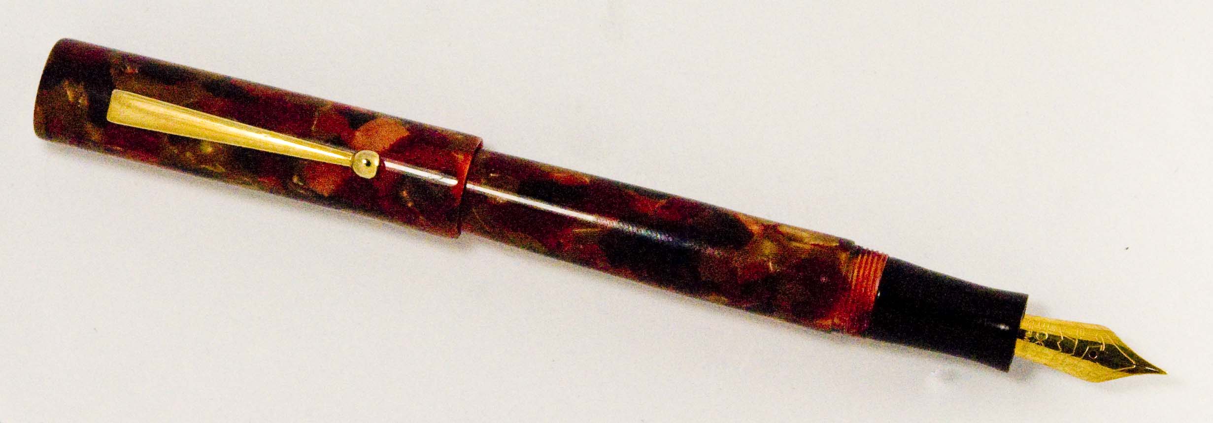 Custom Autumn Cebloplast Fountain Pen