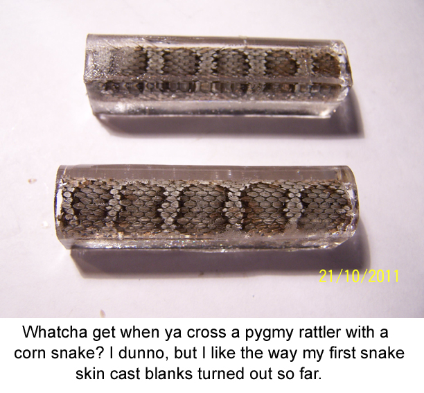 First snake skin castings