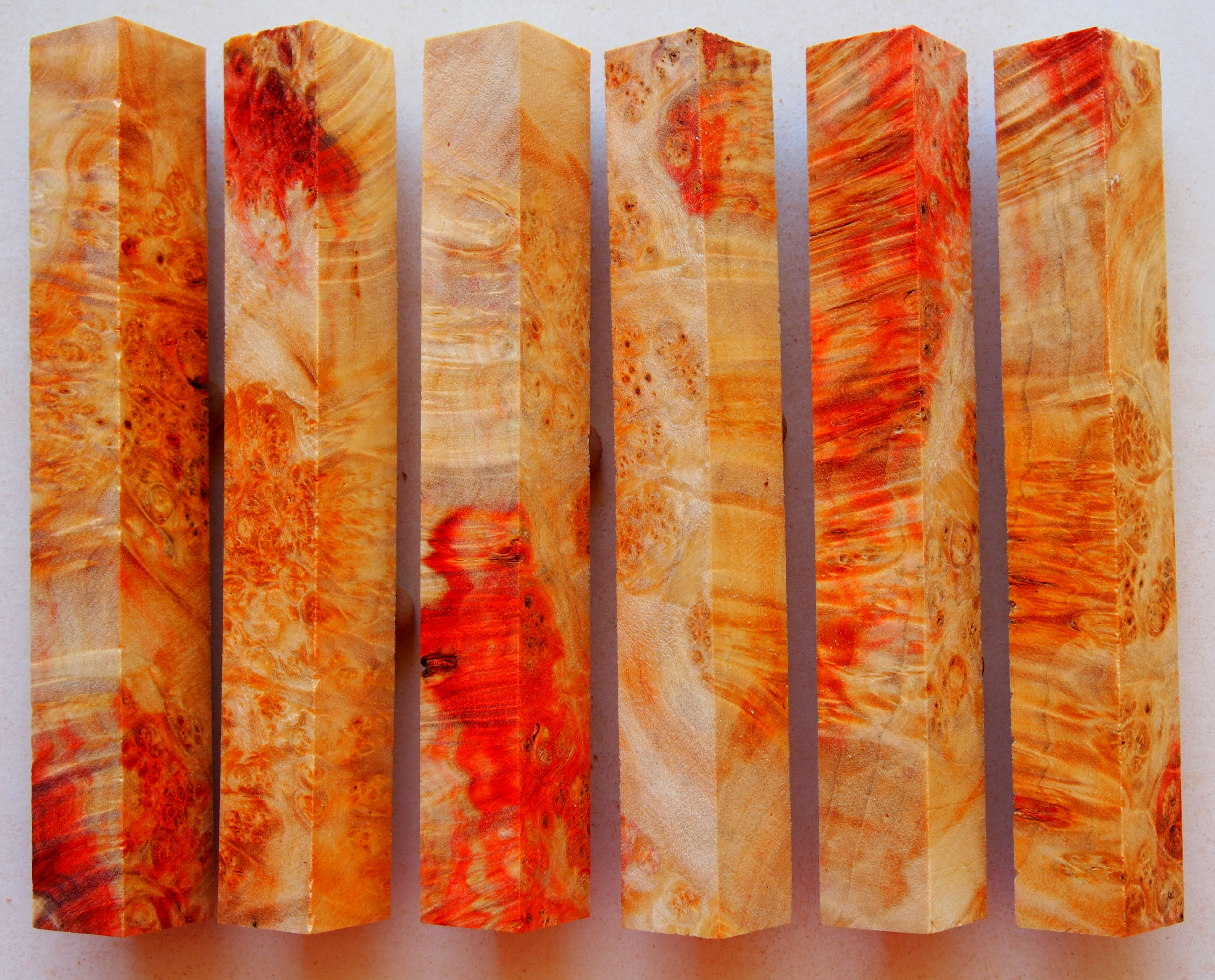 Flaming Red Box Elder