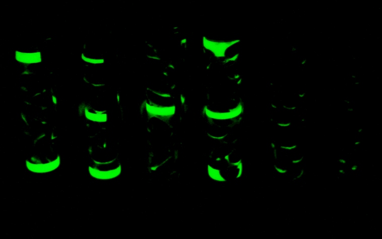 Glow pens night shot