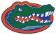 Go Gators!