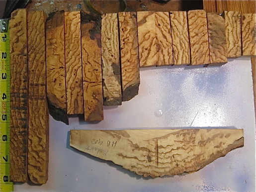 Hickory burl lot