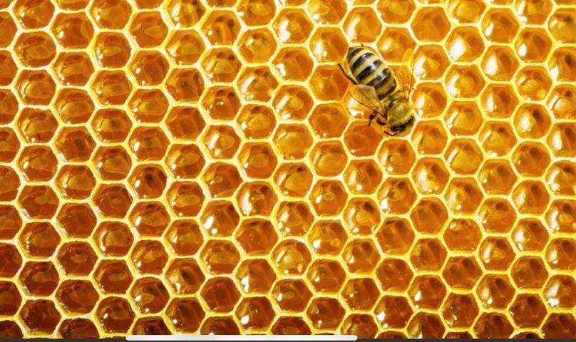 Honey colored honeycomb