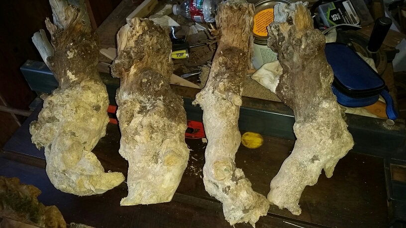 Lilac burls