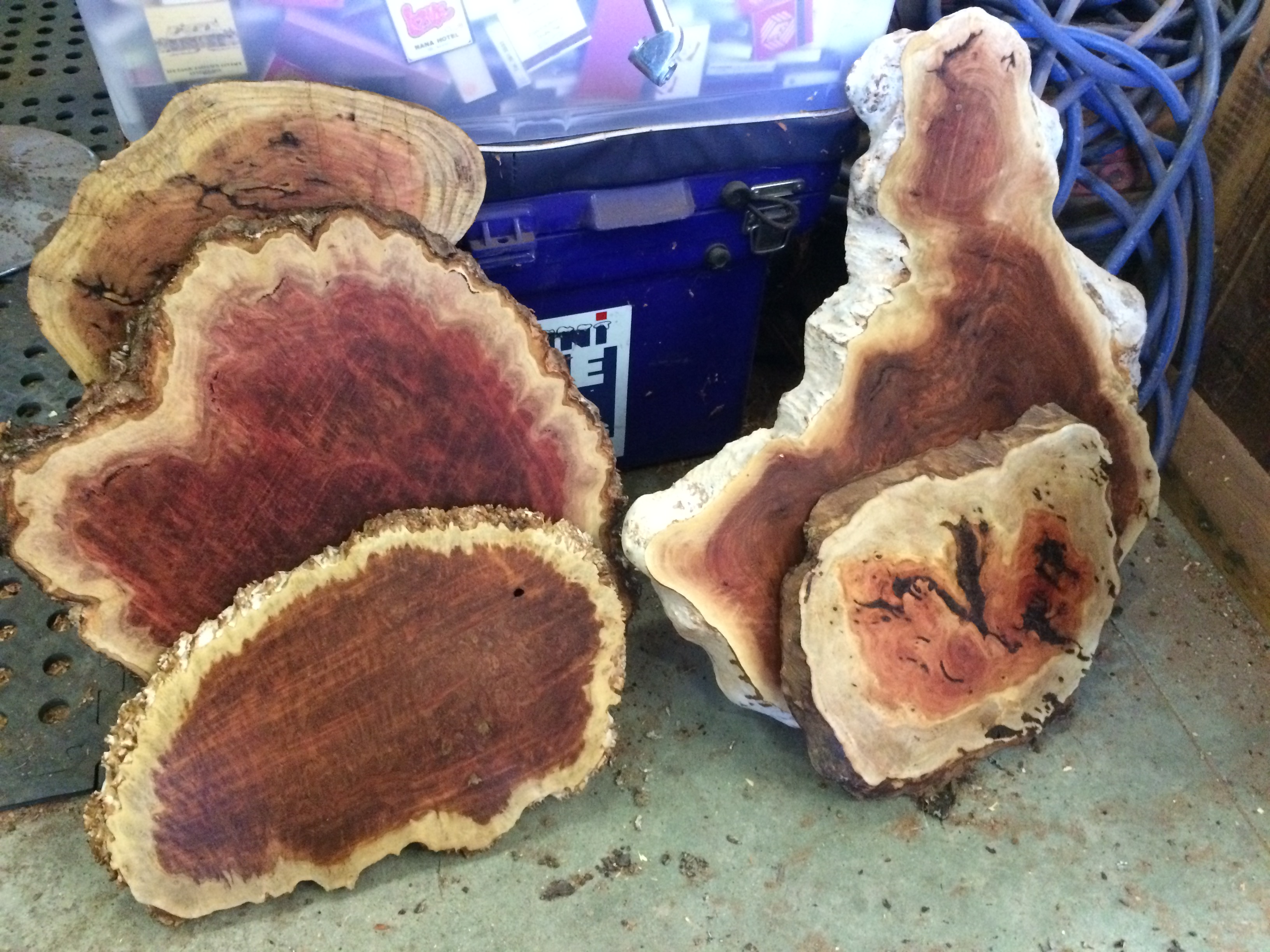 Mallee Burls