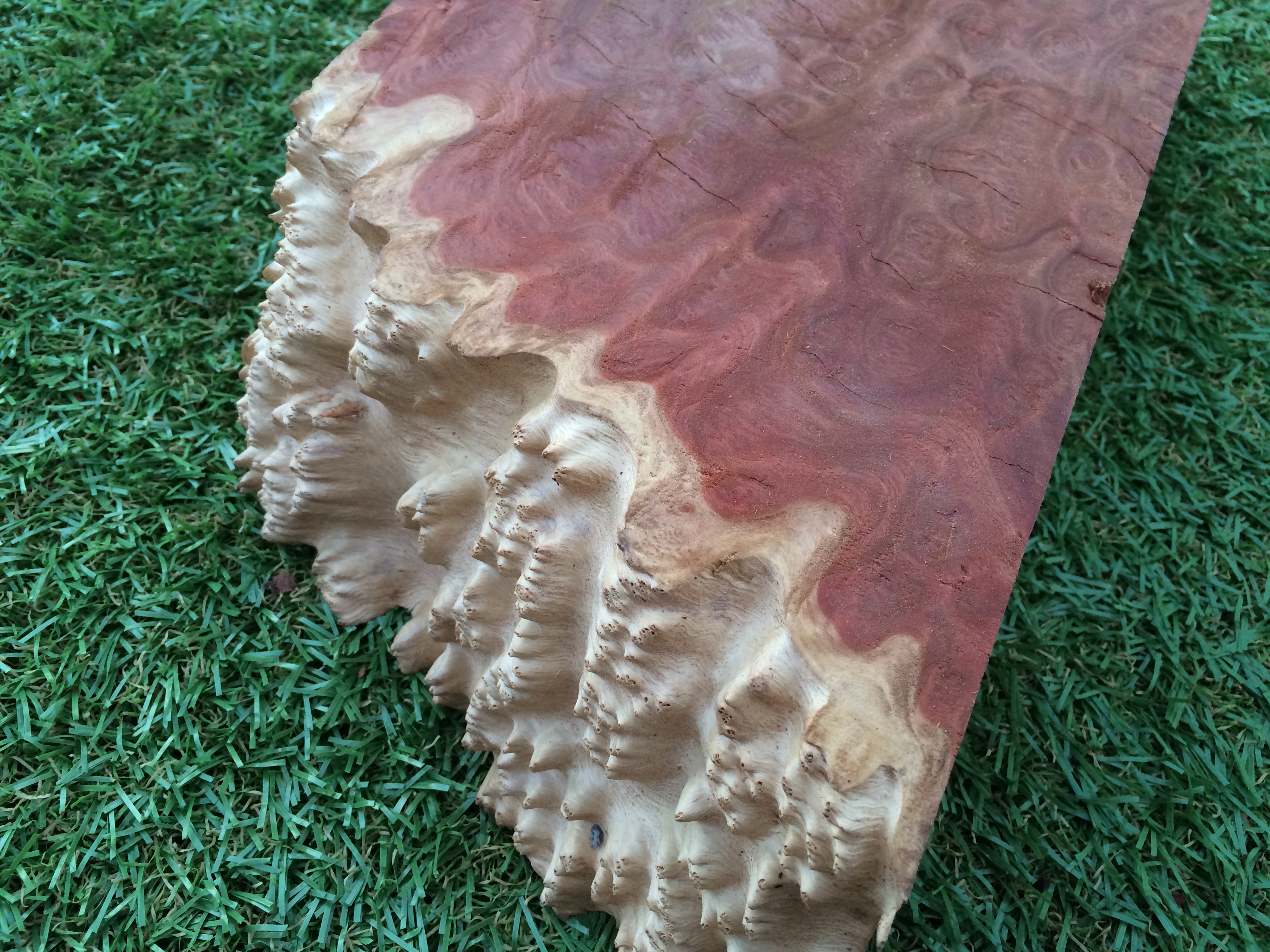 Mallee Burls