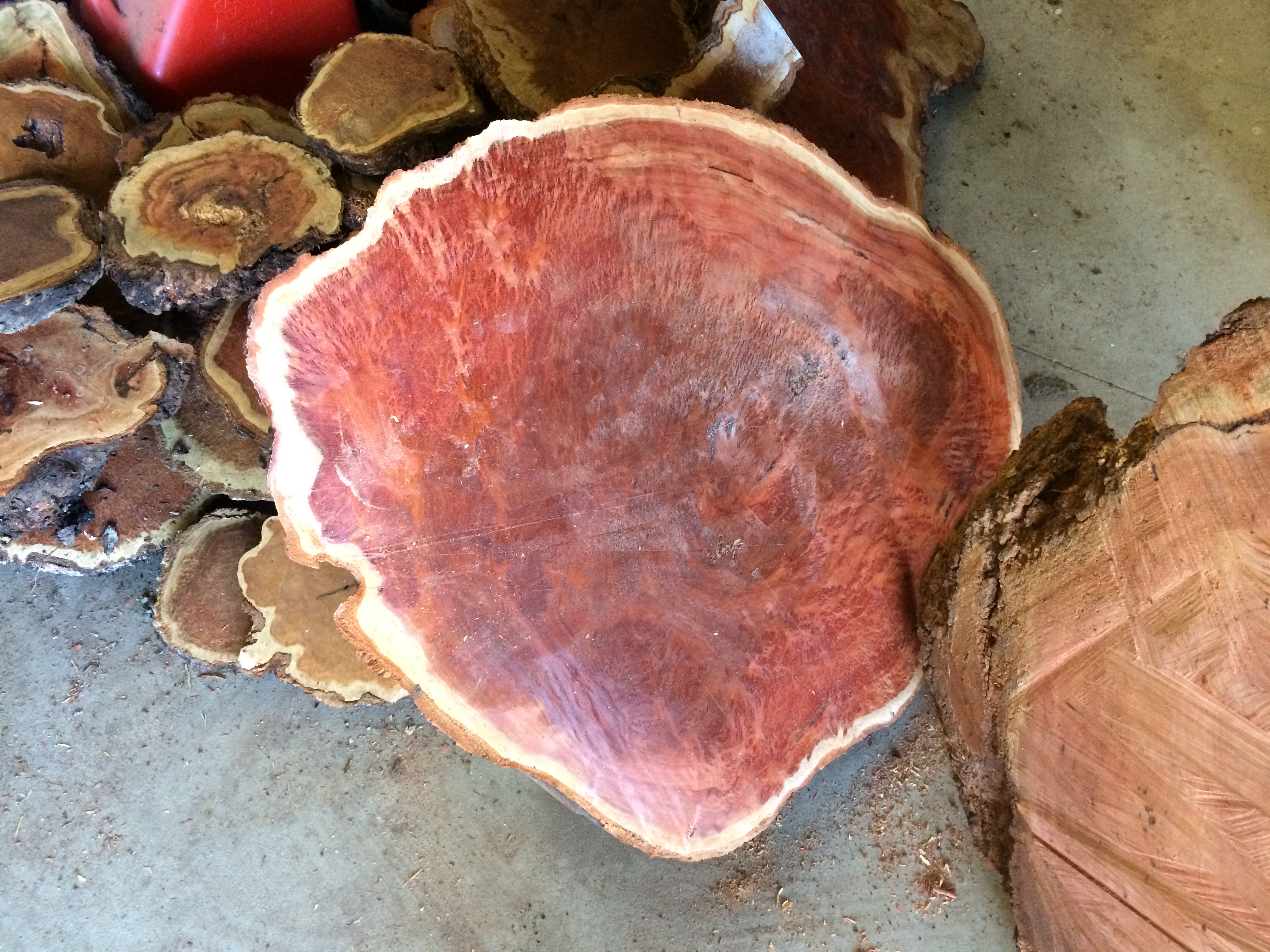 Mallee Burls