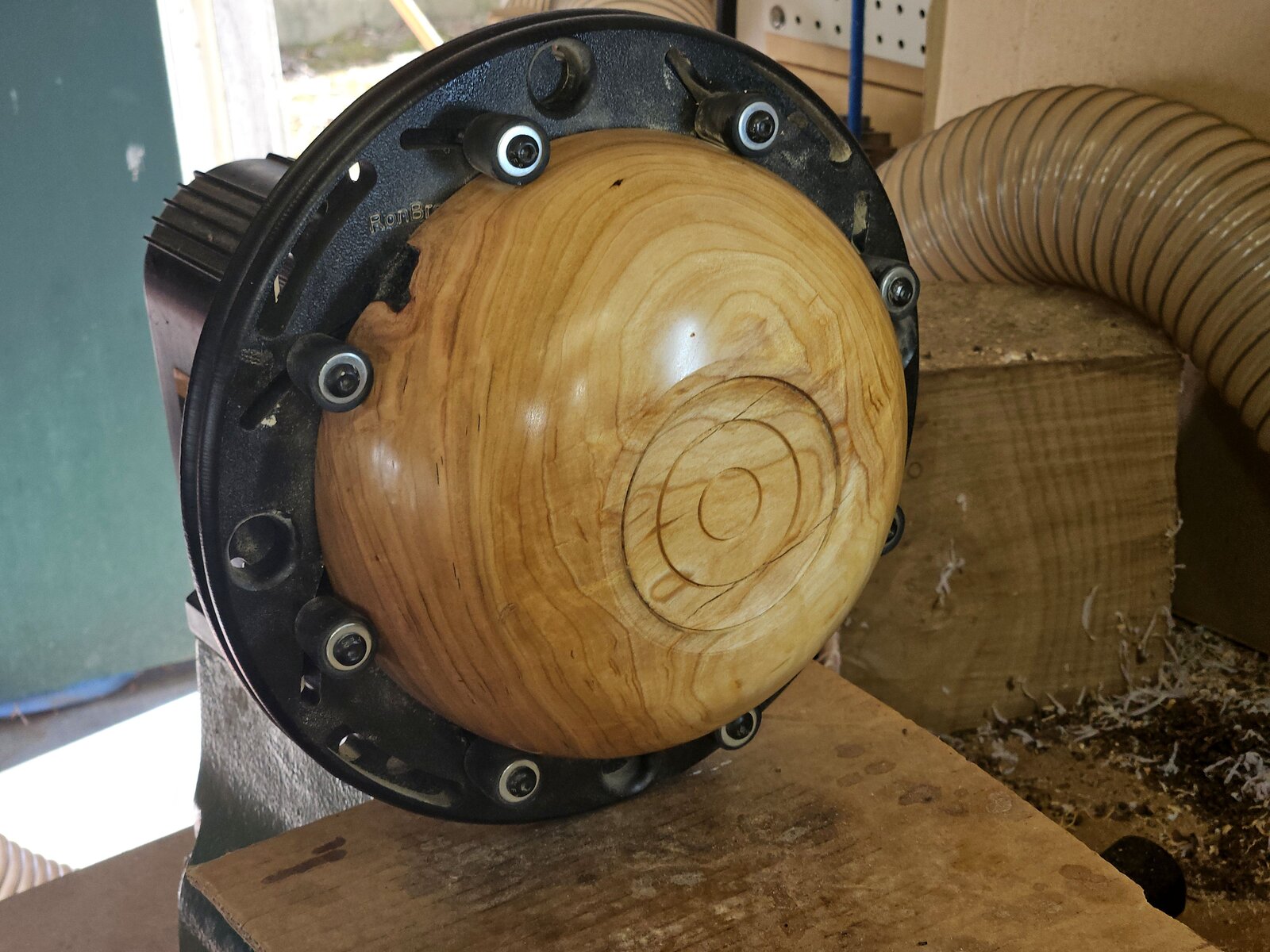 Maple 01b.jpg