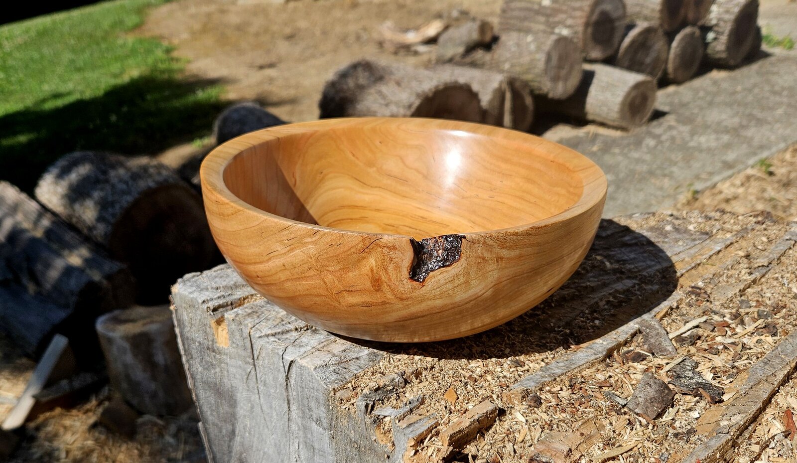 Maple 01c.jpg
