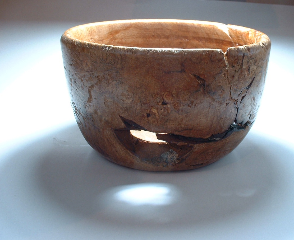 Maple Burl