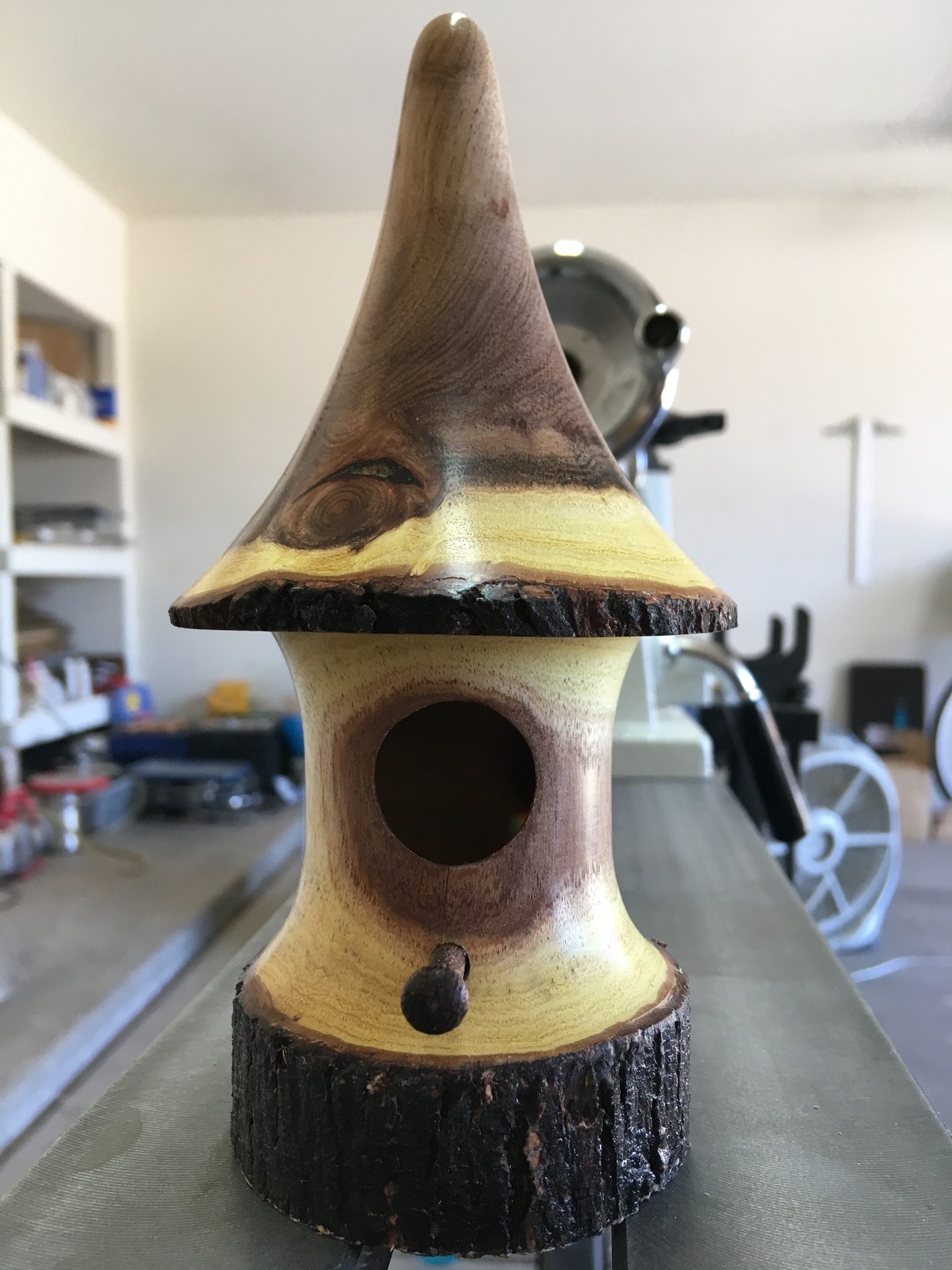 Mesquite birdhouse