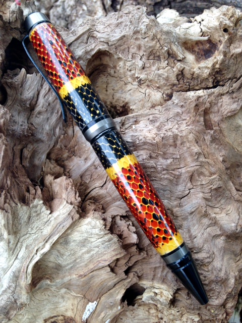 My first Coral snake pen