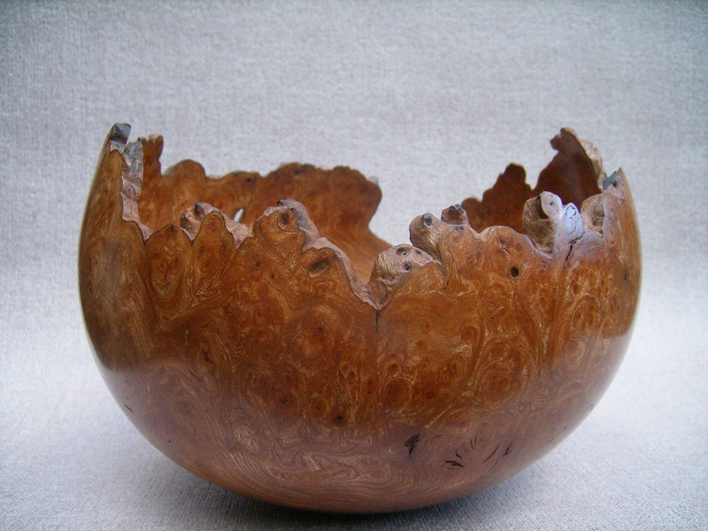 Natural edge burr Elm bowl