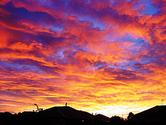 New Zealand Sky