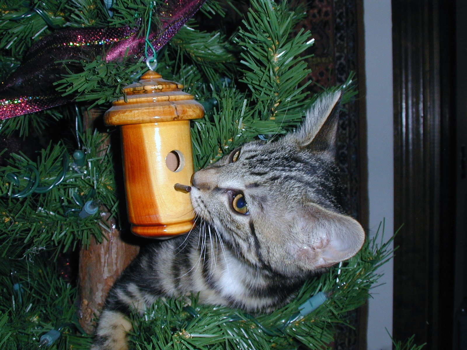 Ornament