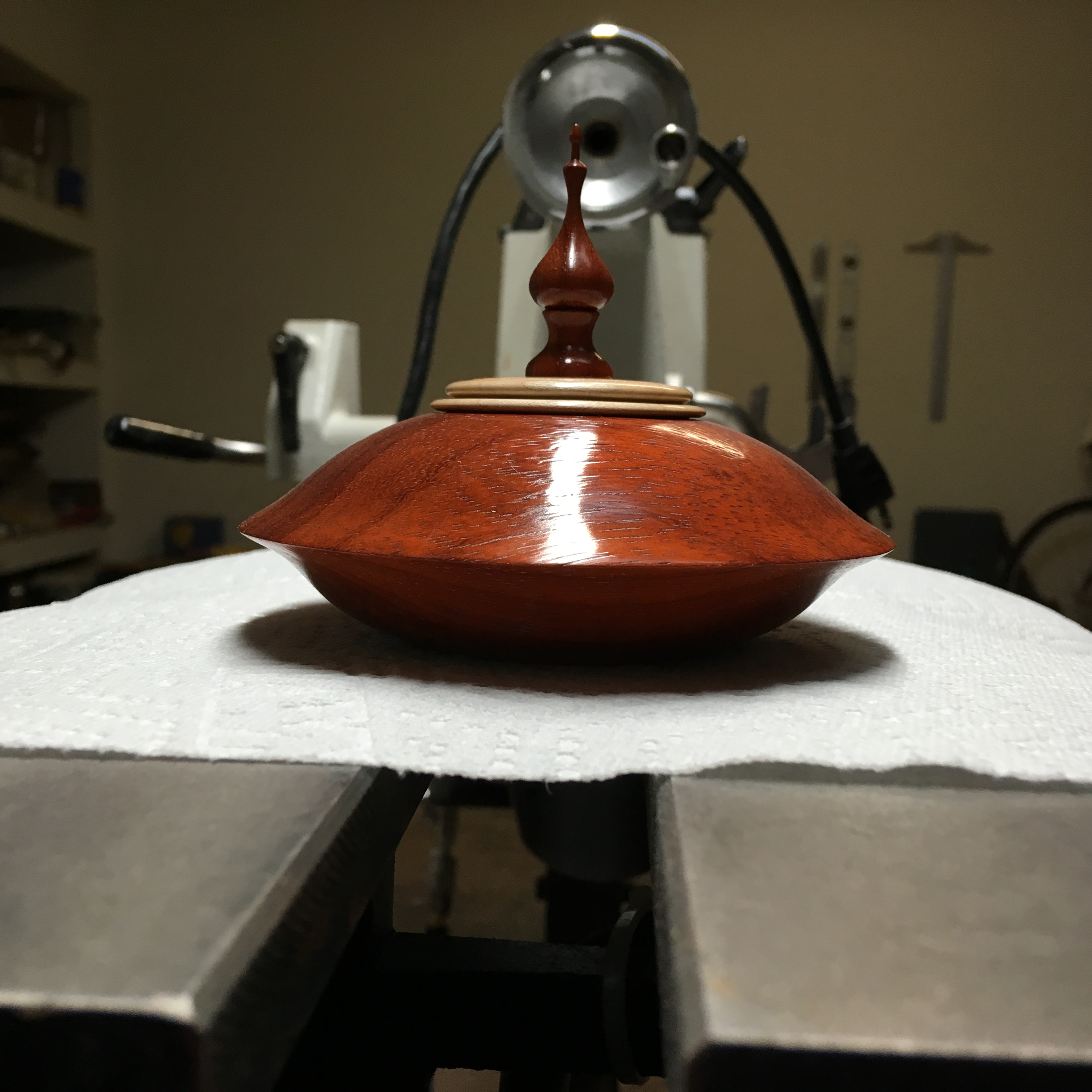 Padauk box w/maple lid