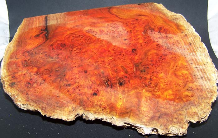 Paela Burl Slab