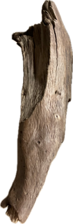 PastedGraphic-1.png