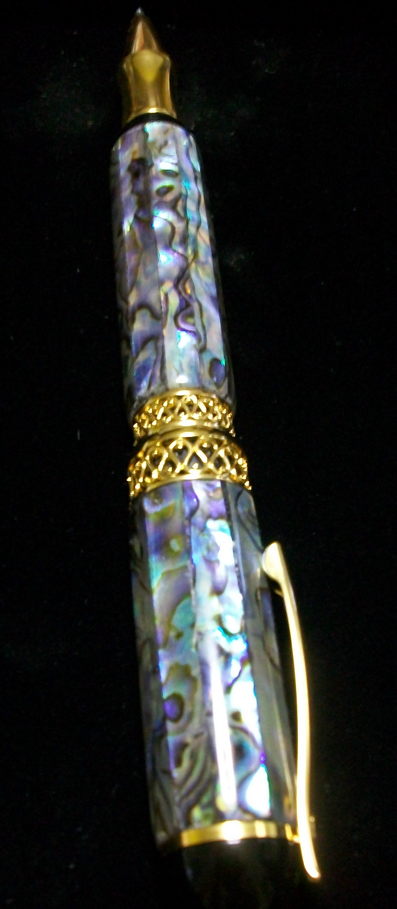 paua abalone first one