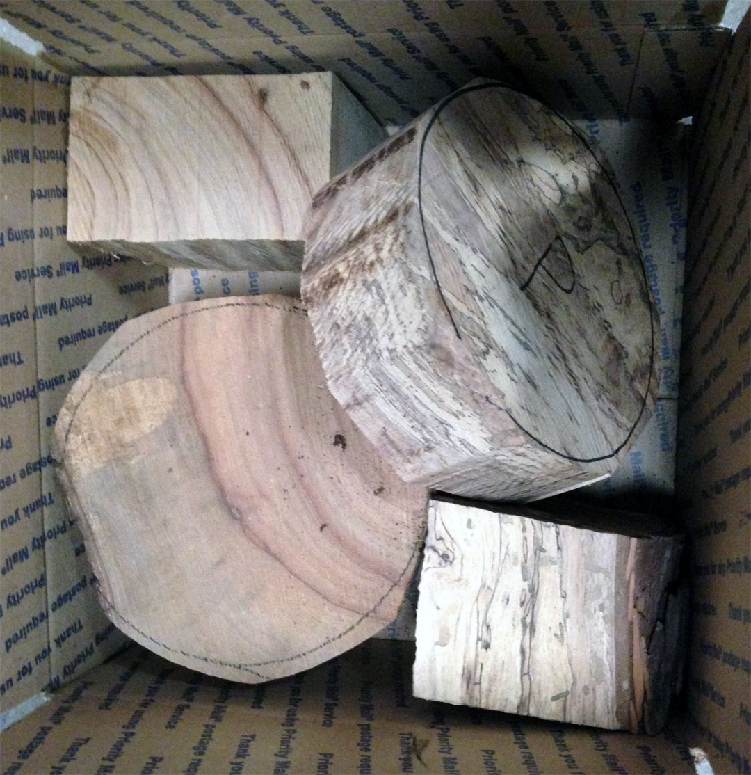 Pecan & Camphor Wood