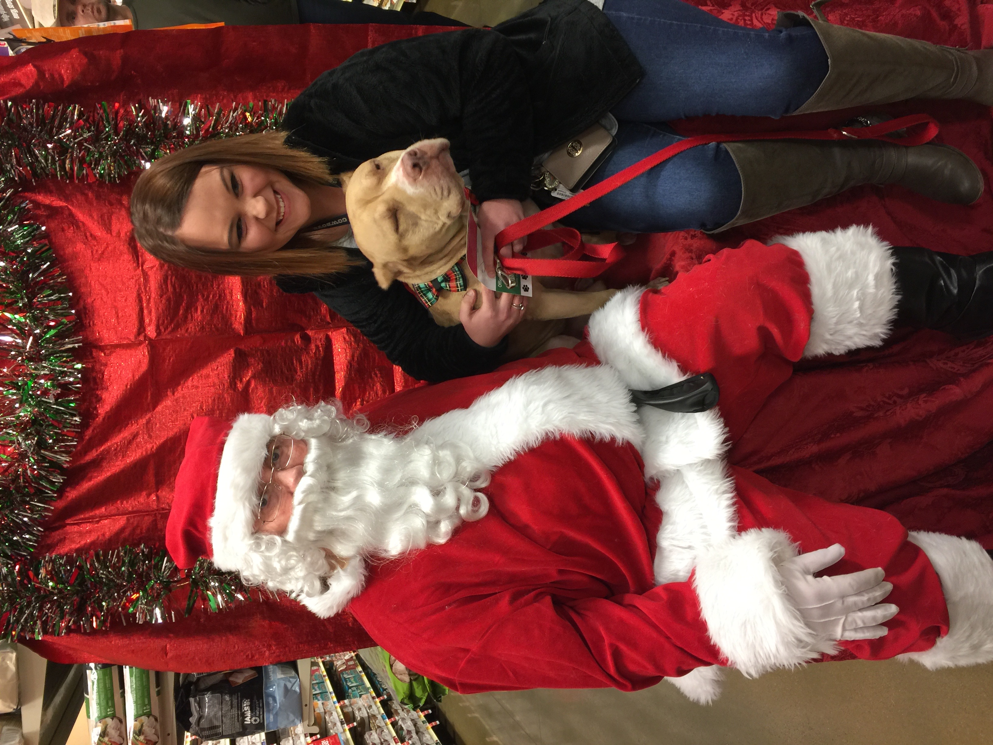 PETSMART Santa2