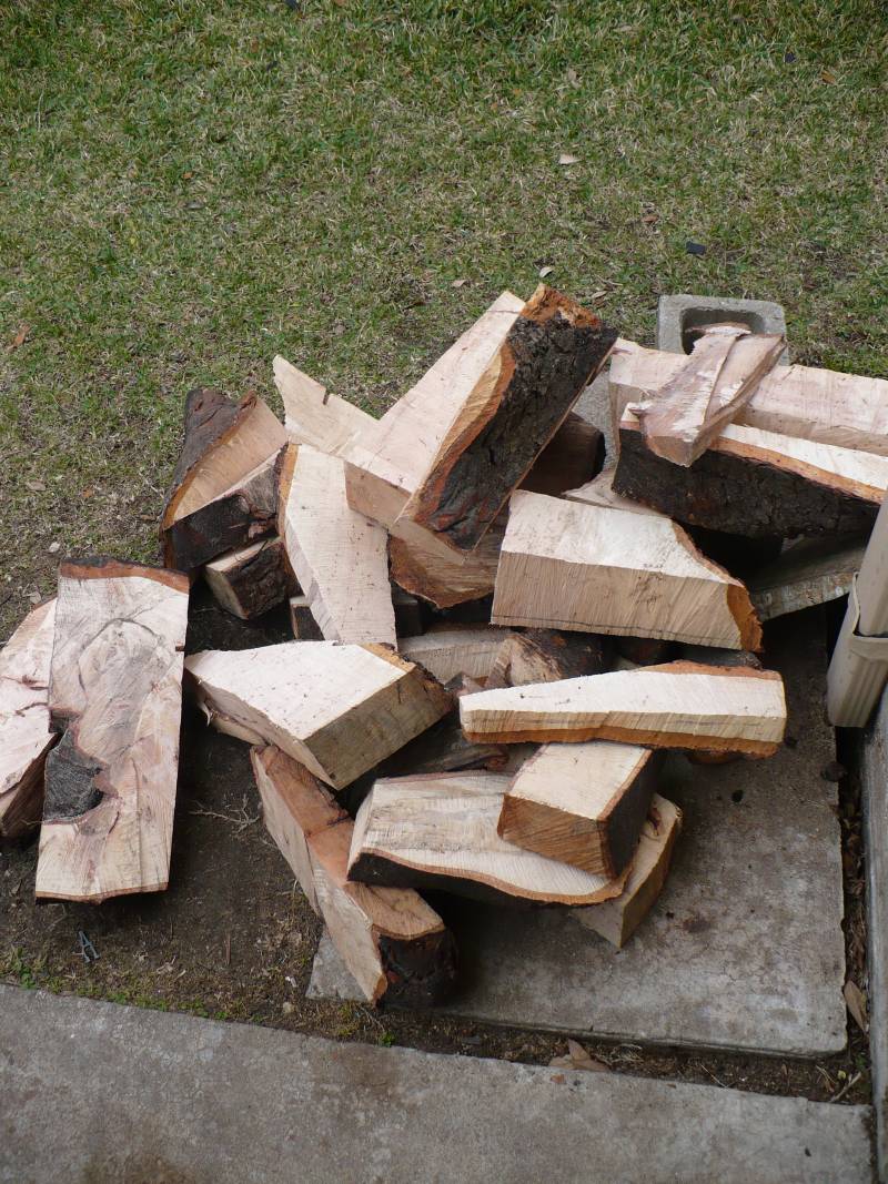 Pile of Pecan wood