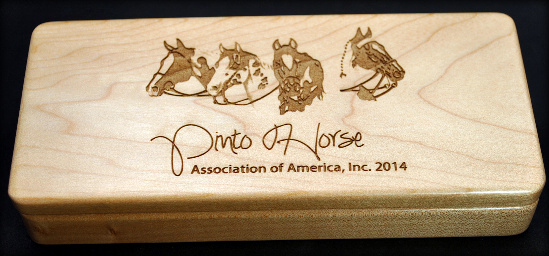 Pinto Horse Assoc Pen