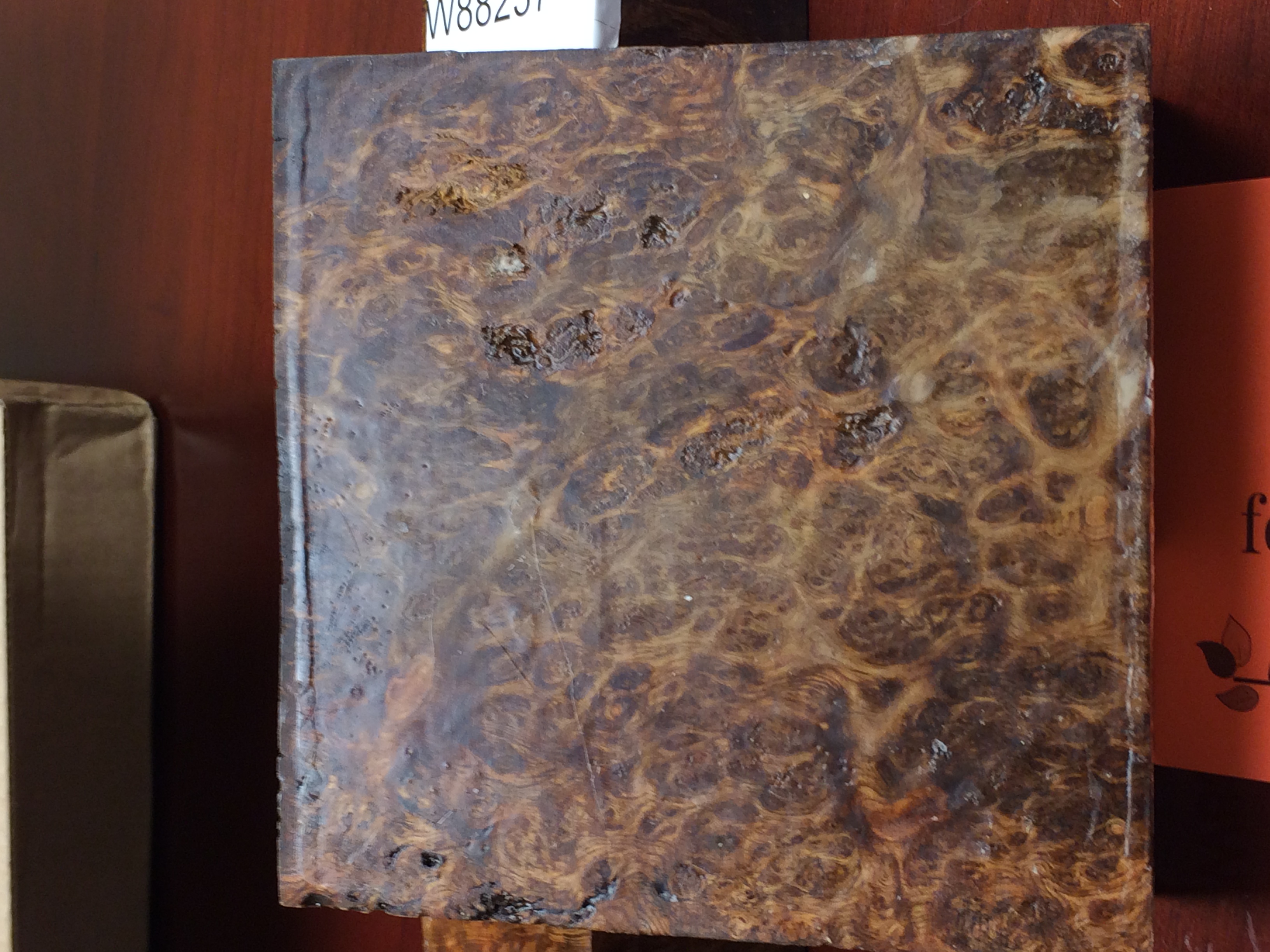 Pyinma Burl Turning Blanks