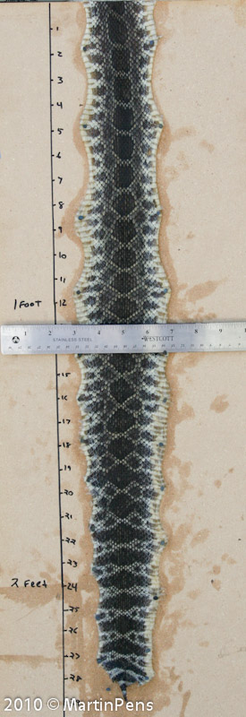 Rattlesnake Skin 01