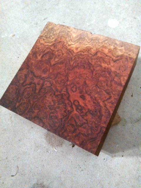 Red Mallee Burl