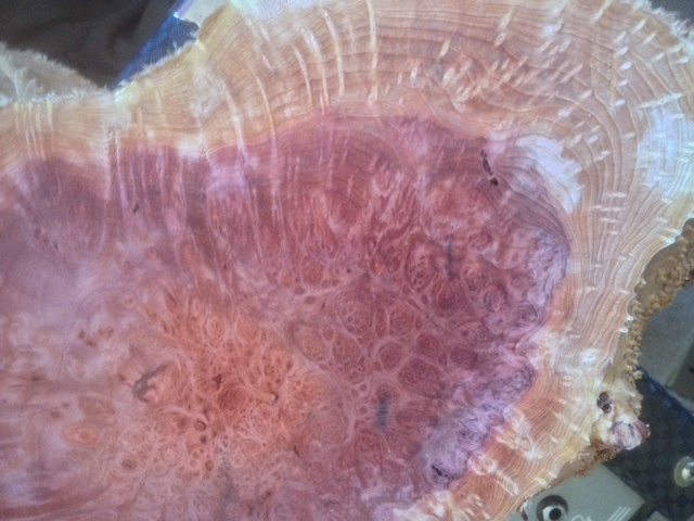 Redwood Burl