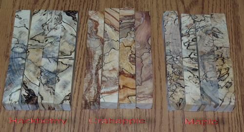 Spalted Blanks