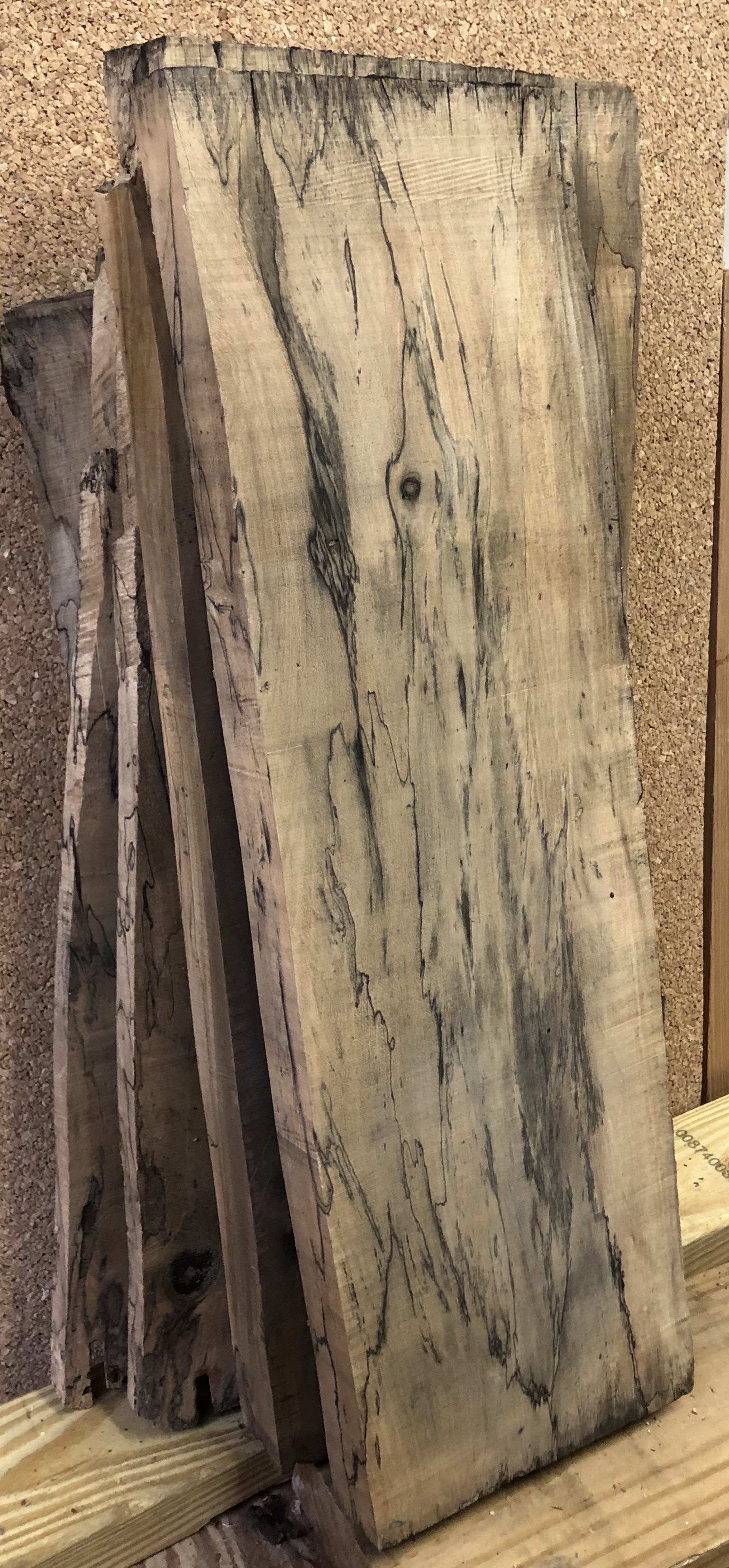Spalted Magnolia