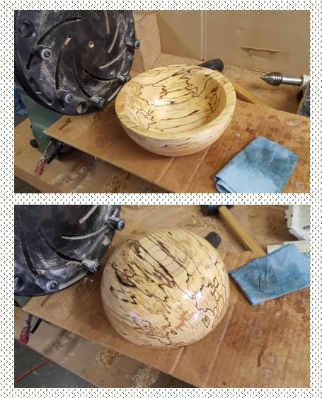 Spalted Maple 2.png