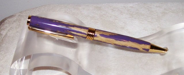 staghorn Cholla cactus pen