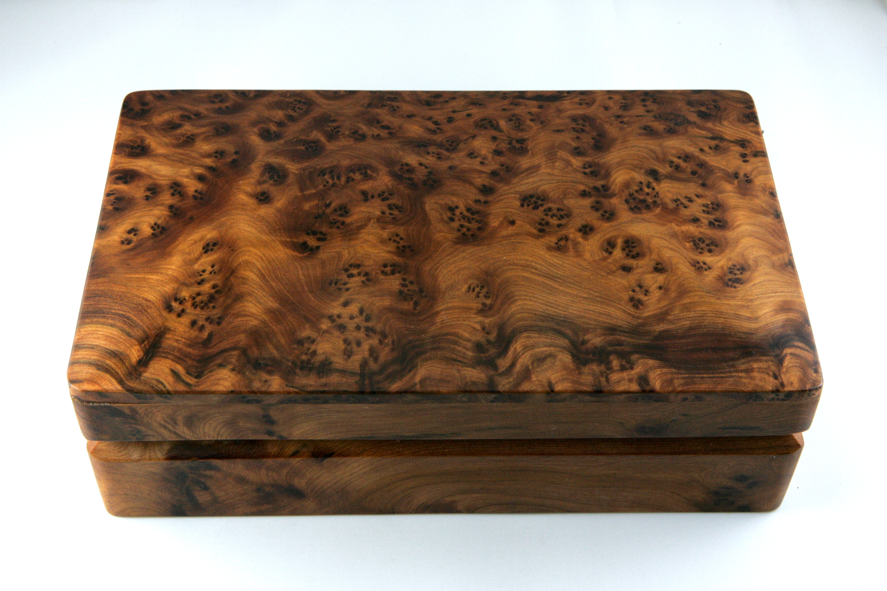 Thuya Burl Box