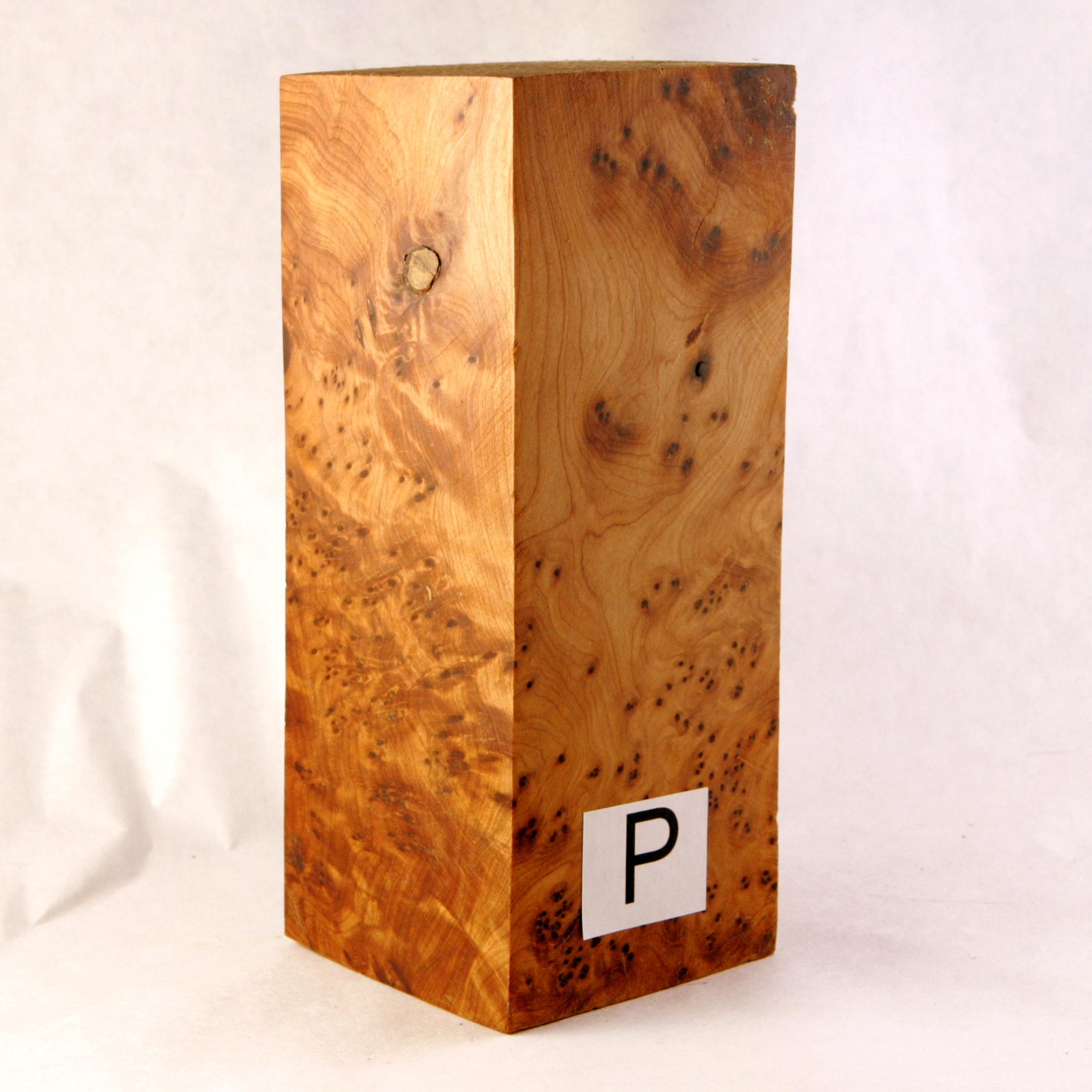 thuya burl