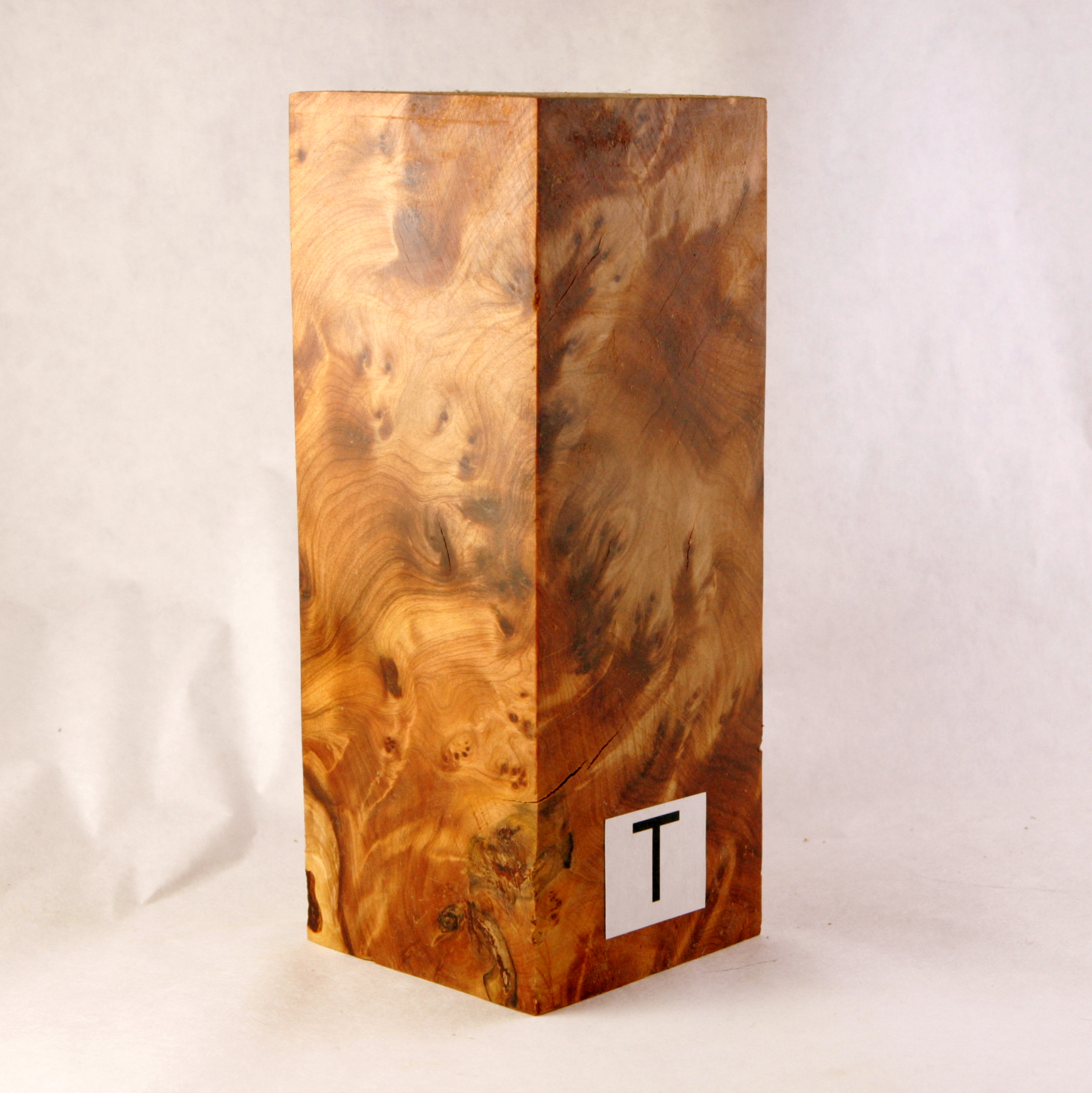 thuya burl