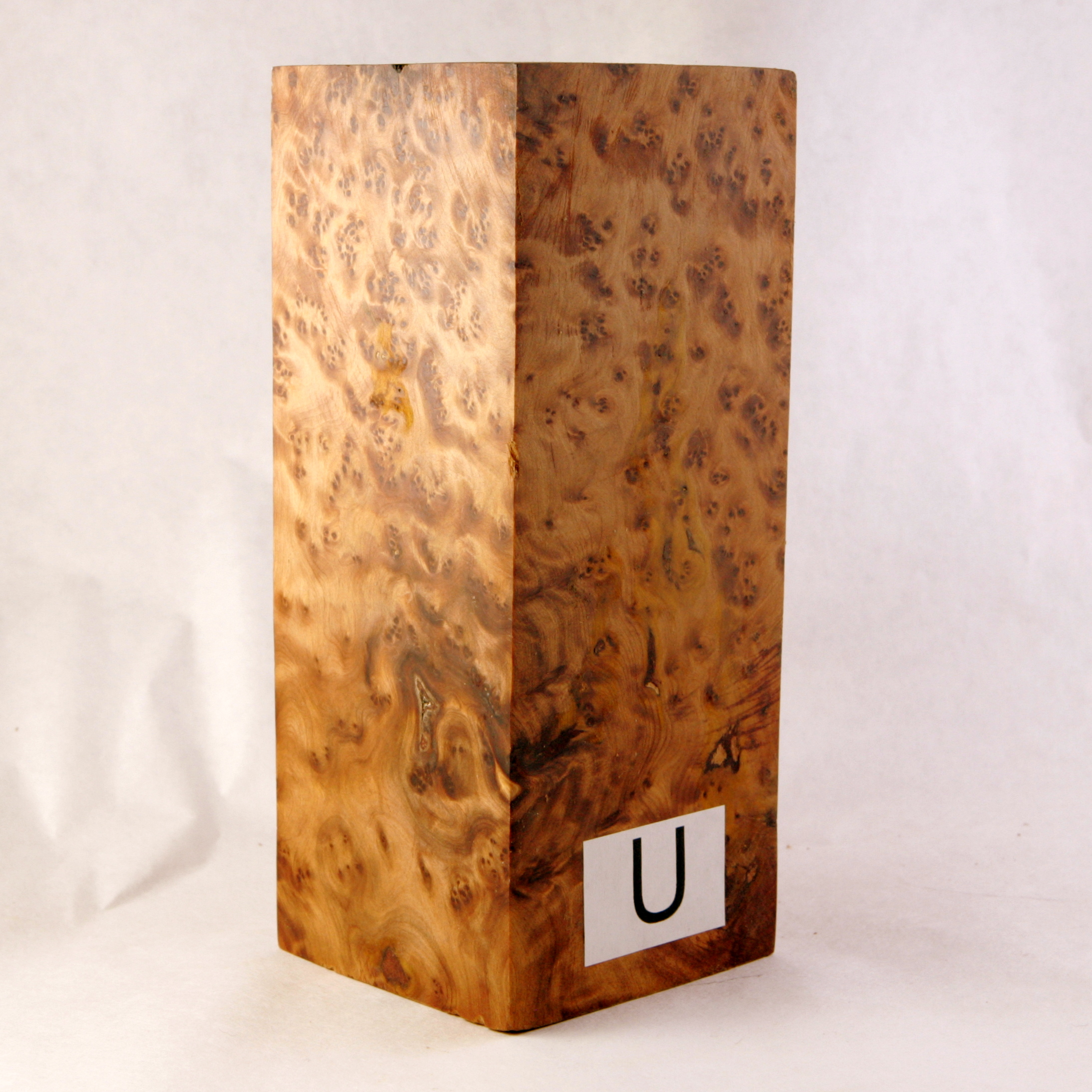 thuya burl