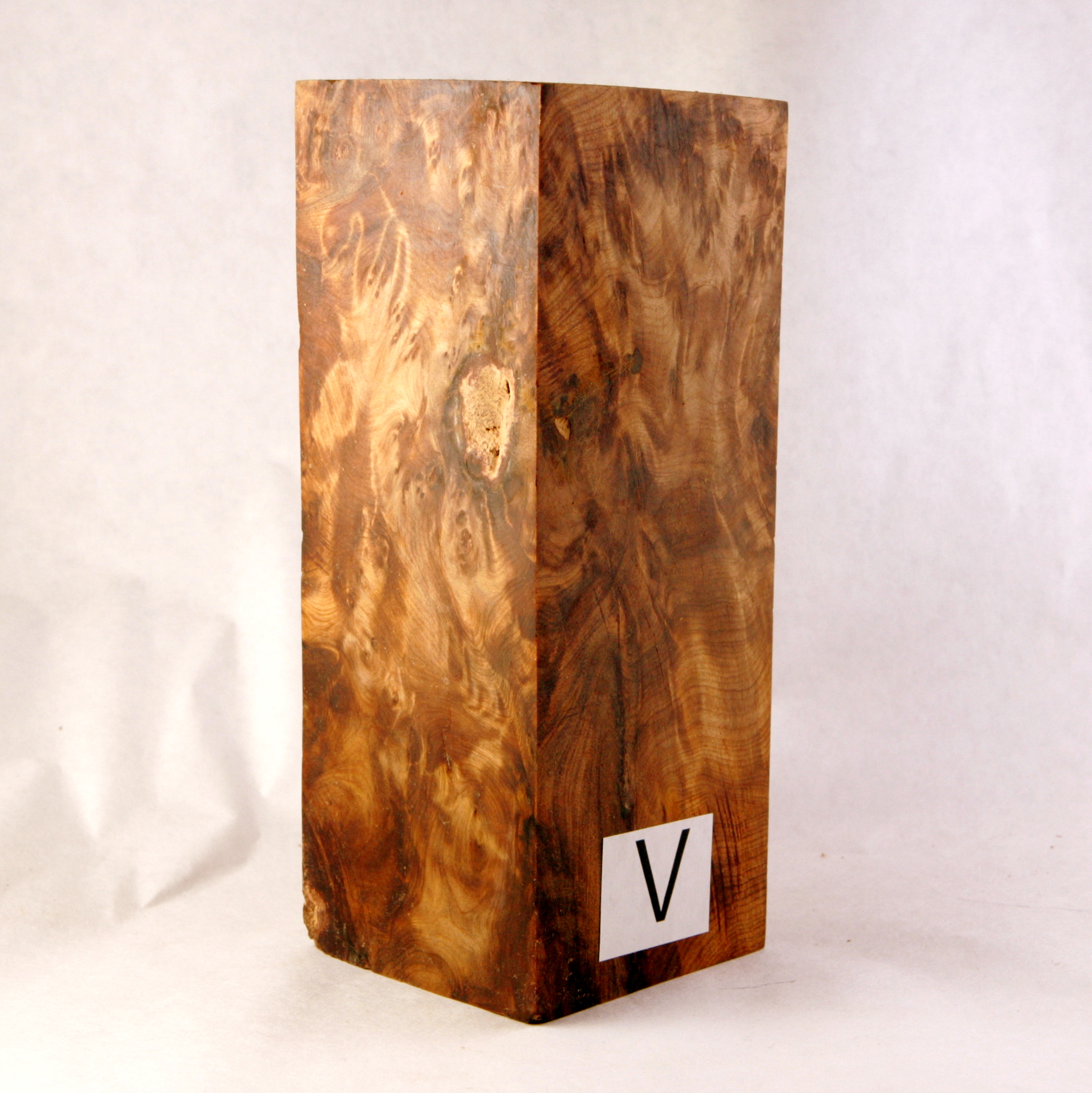 thuya burl