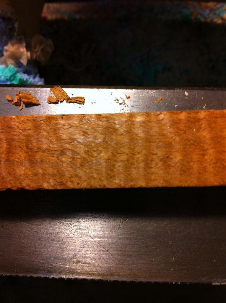 tiger stripe