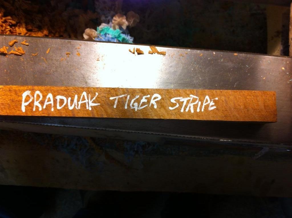 tiger stripe